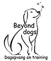 beyonddogs